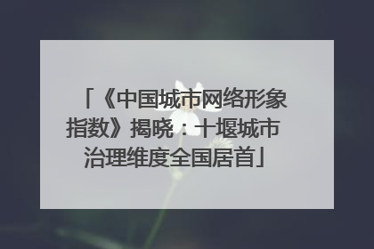 《中国城市网络形象指数》揭晓：十堰城市治理维度全国居首