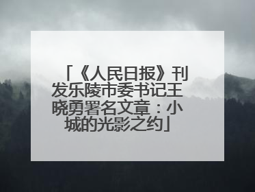 《人民日报》刊发乐陵市委书记王晓勇署名文章：小城的光影之约