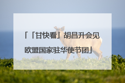 「甘快看」胡昌升会见欧盟国家驻华使节团