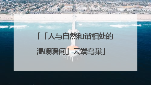 「人与自然和谐相处的温暖瞬间」云端鸟巢