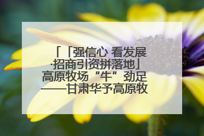 「强信心 看发展·招商引资拼落地」高原牧场“牛”劲足——甘肃华予高原牧场高标准奶牛肉牛养殖项目一线见闻