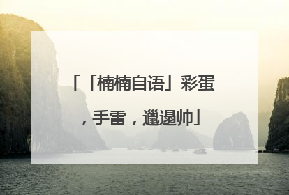 「楠楠自语」彩蛋，手雷，邋遢帅
