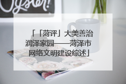 「菏评」大美善治润泽家园——菏泽市网络文明建设综述