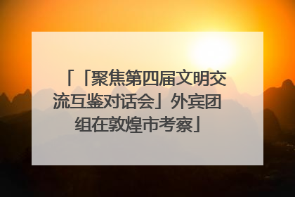 「聚焦第四届文明交流互鉴对话会」外宾团组在敦煌市考察