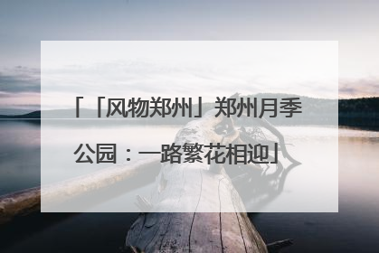 「风物郑州」郑州月季公园：一路繁花相迎
