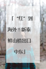 “红”到海外！新泰鲜山楂出口中东