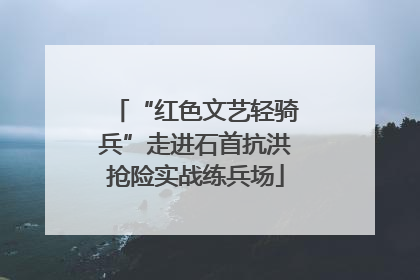 “红色文艺轻骑兵”走进石首抗洪抢险实战练兵场