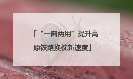 “一窗两用”提升高原铁路换枕新速度