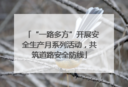 “一路多方”开展安全生产月系列活动，共筑道路安全防线