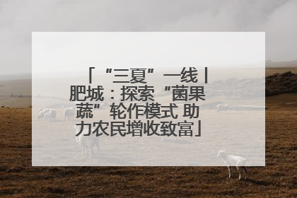 “三夏”一线丨肥城：探索“菌果蔬”轮作模式 助力农民增收致富