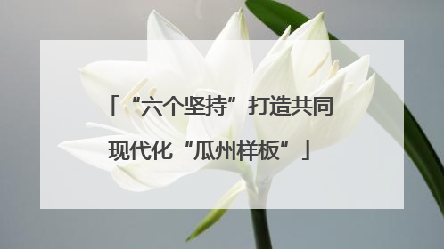 “六个坚持”打造共同现代化“瓜州样板”
