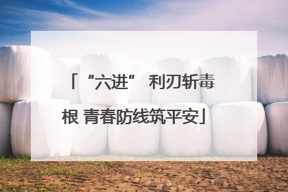 “六进” 利刃斩毒根 青春防线筑平安