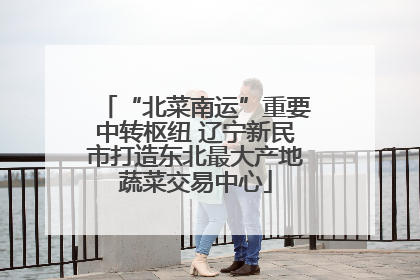 “北菜南运”重要中转枢纽 辽宁新民市打造东北最大产地蔬菜交易中心