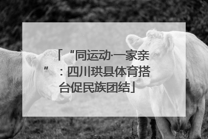 “同运动·一家亲”：四川珙县体育搭台促民族团结