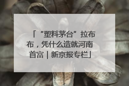 “塑料茅台”拉布布，凭什么造就河南首富｜新京报专栏