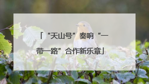 “天山号”奏响“一带一路”合作新乐章
