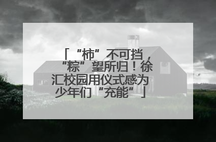 “柿”不可挡，“粽”望所归！徐汇校园用仪式感为少年们“充能”