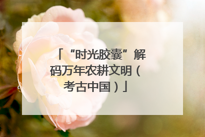 “时光胶囊”解码万年农耕文明（考古中国）