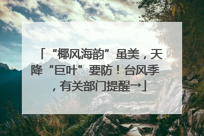 “椰风海韵”虽美，天降“巨叶”要防！台风季，有关部门提醒→