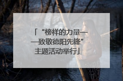 “榜样的力量——致敬德阳先锋”主题活动举行