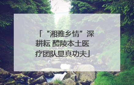 “湘雅乡情”深耕耘 醴陵本土医疗团队显真功夫
