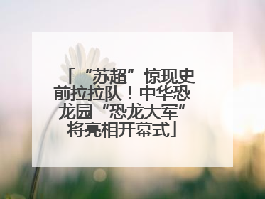 “苏超”惊现史前拉拉队！中华恐龙园“恐龙大军”将亮相开幕式
