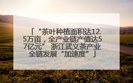 “茶叶种植面积达12.5万亩，全产业链产值达57亿元” 浙江武义茶产业全链发展“加速度”