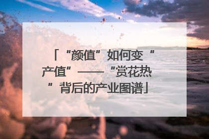 “颜值”如何变“产值”——“赏花热”背后的产业图谱