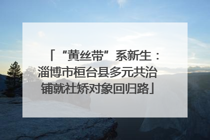 “黄丝带”系新生：淄博市桓台县多元共治铺就社矫对象回归路