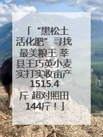 “黑松土 活化肥”寻找最美粮王 莘县王巧英小麦实打实收亩产1515.4斤 超对照田144斤！