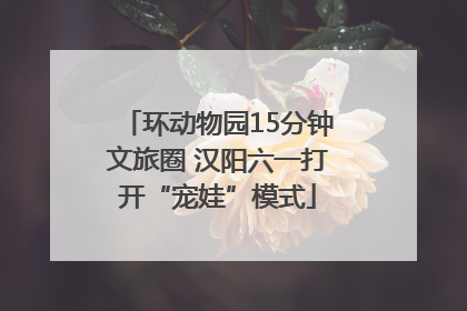 环动物园15分钟文旅圈 汉阳六一打开“宠娃”模式