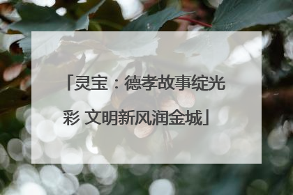 灵宝：德孝故事绽光彩 文明新风润金城