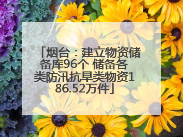 烟台：建立物资储备库96个 储备各类防汛抗旱类物资186.52万件