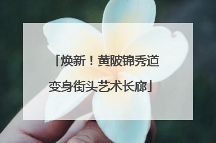 焕新！黄陂锦秀道变身街头艺术长廊