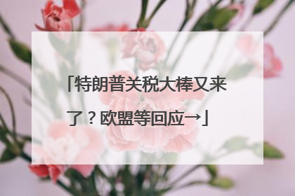 特朗普关税大棒又来了？欧盟等回应→