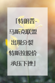 特朗普-马斯克联盟出现分裂 特斯拉股价承压下挫