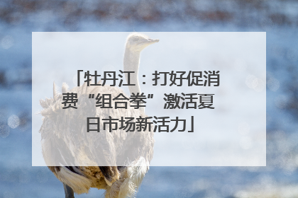 牡丹江：打好促消费“组合拳”激活夏日市场新活力