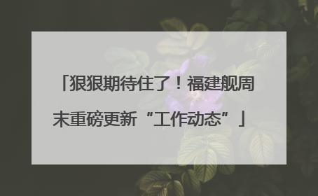 狠狠期待住了！福建舰周末重磅更新“工作动态”
