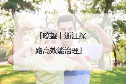 瞭望丨浙江探路高效能治理