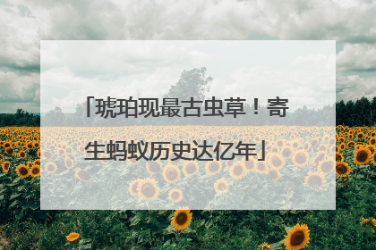 琥珀现最古虫草！寄生蚂蚁历史达亿年