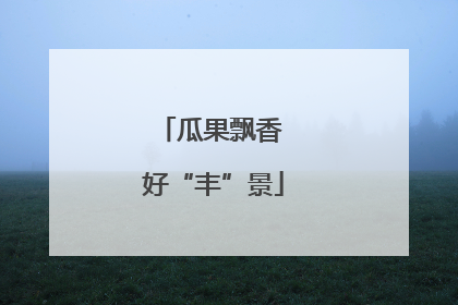 瓜果飘香 好“丰”景