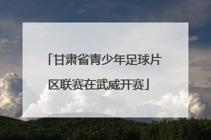 甘肃省青少年足球片区联赛在武威开赛