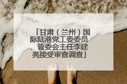 甘肃（兰州）国际陆港党工委委员、管委会主任李建亮接受审查调查