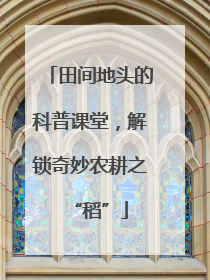 田间地头的科普课堂，解锁奇妙农耕之“稻”
