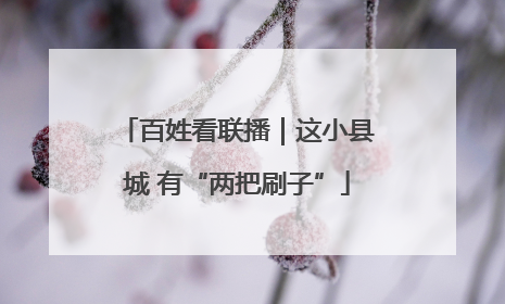 百姓看联播｜这小县城 有“两把刷子”
