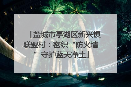 盐城市亭湖区新兴镇联盟村：密织“防火墙”守护蓝天净土