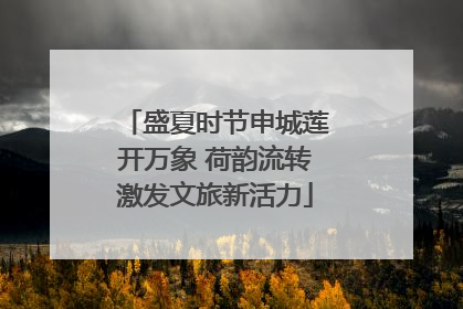盛夏时节申城莲开万象 荷韵流转激发文旅新活力