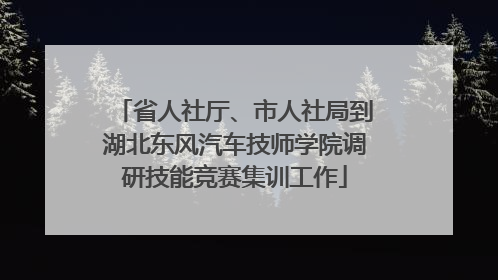 省人社厅、市人社局到湖北东风汽车技师学院调研技能竞赛集训工作