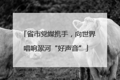 省市党媒携手，向世界唱响漯河“好声音”