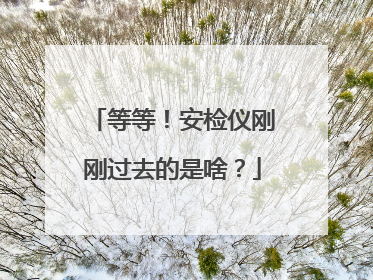 等等！安检仪刚刚过去的是啥？
